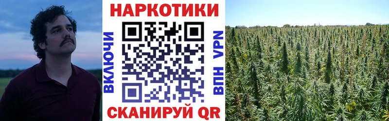 Где продают наркотики Шарья Cocaine  Канабис  МЕФ  Alpha PVP  ГАШ 
