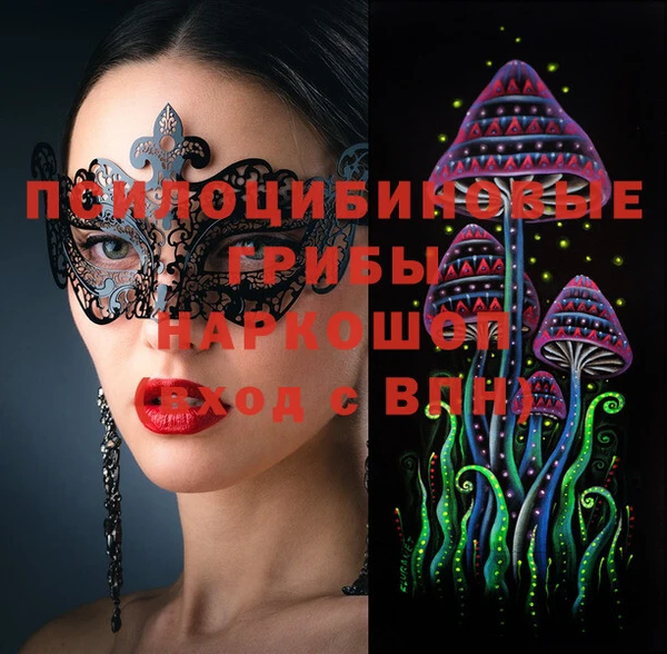 хмурый Арсеньев