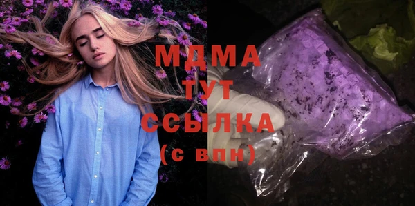 хмурый Арсеньев