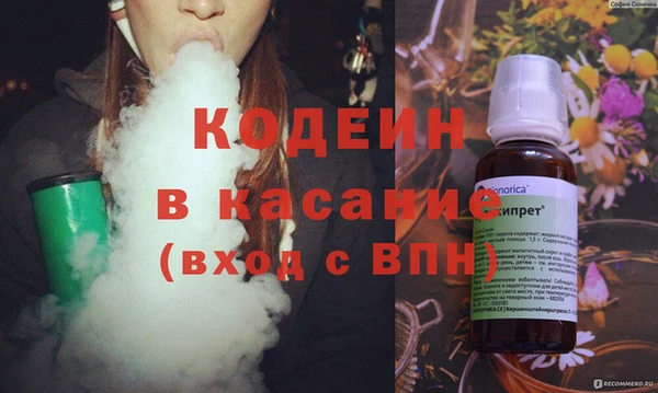 хмурый Арсеньев