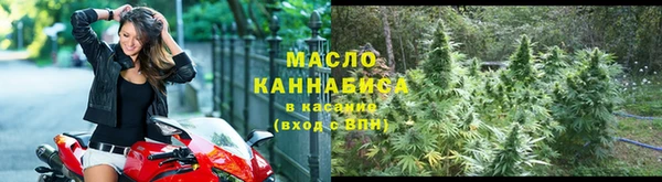 хмурый Арсеньев