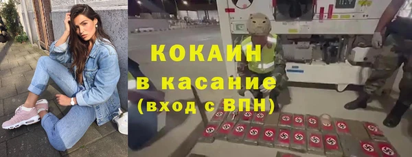 хмурый Арсеньев