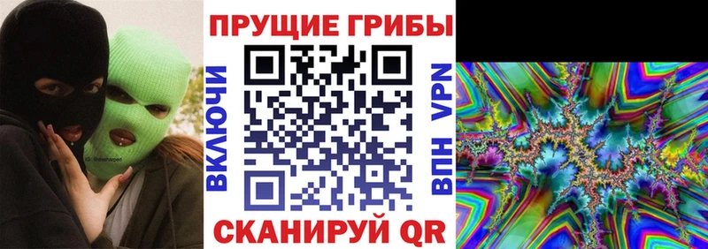 Псилоцибиновые грибы Psilocybe Шарья